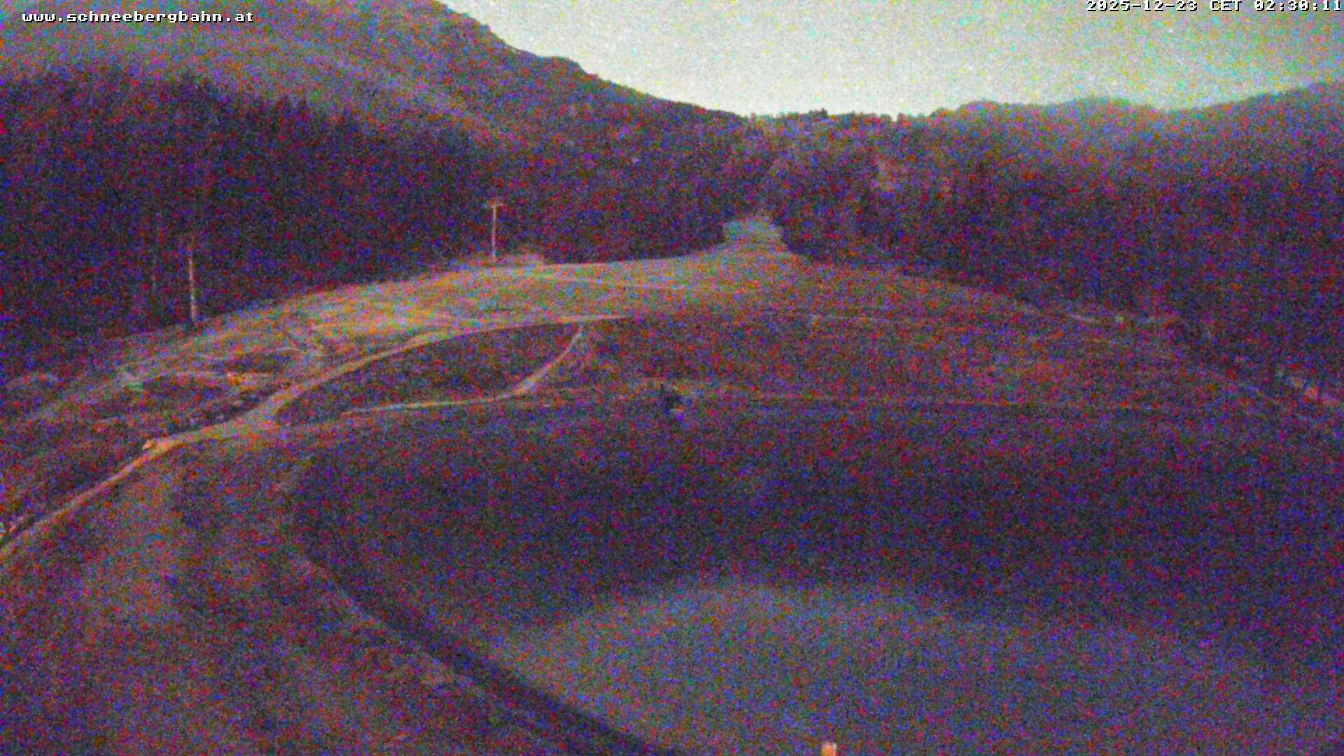 Archiv Foto Webcam Speichersee / Puchberg am Schneeberg