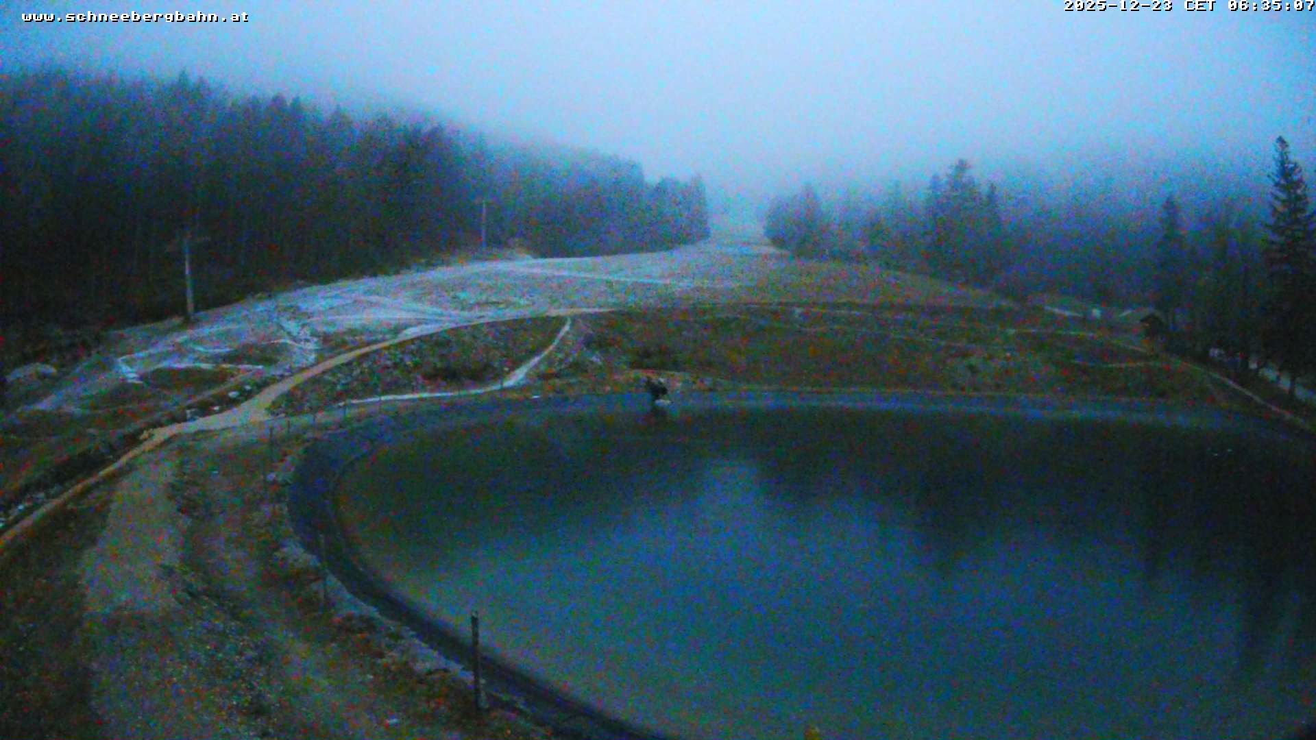 Archiv Foto Webcam Speichersee / Puchberg am Schneeberg