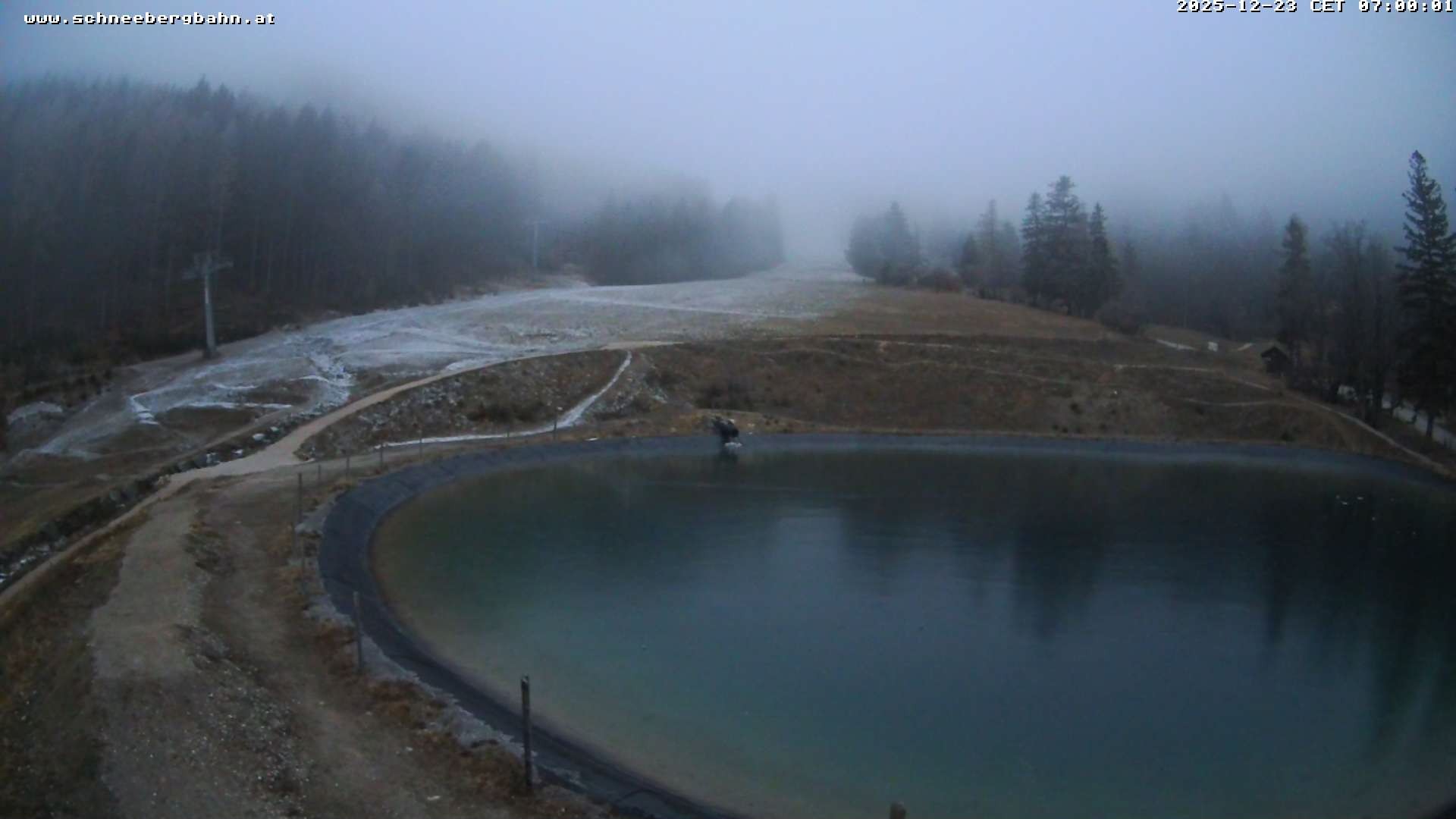 Archiv Foto Webcam Speichersee / Puchberg am Schneeberg