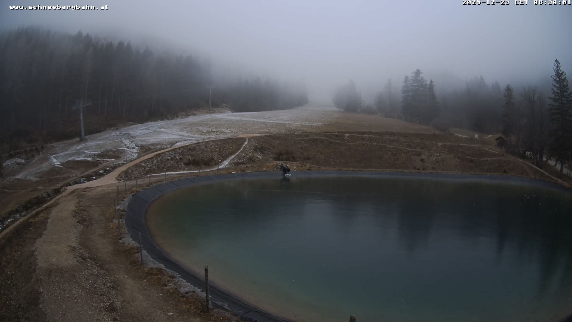 Archiv Foto Webcam Speichersee / Puchberg am Schneeberg