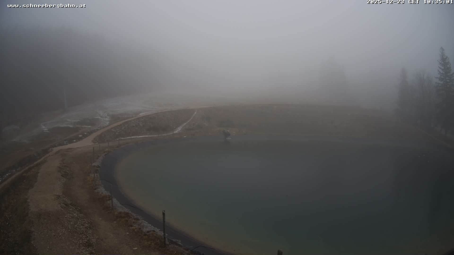 Archiv Foto Webcam Speichersee / Puchberg am Schneeberg