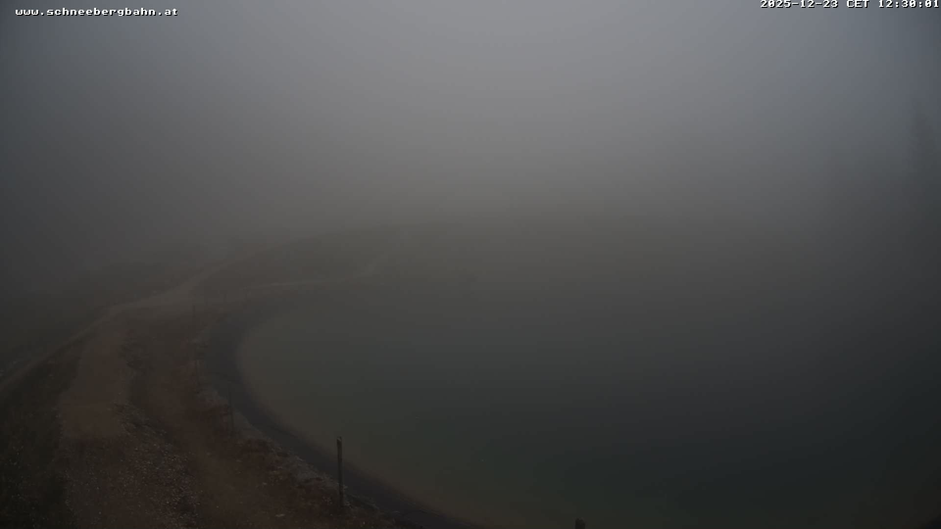 Archiv Foto Webcam Speichersee / Puchberg am Schneeberg