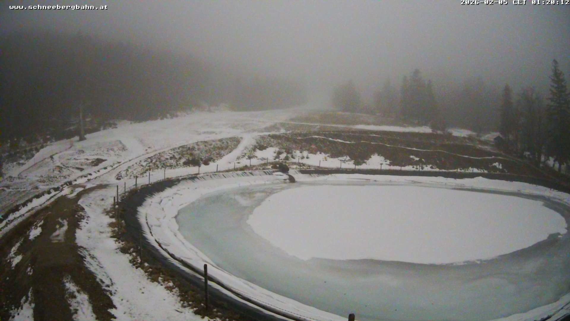 Archiv Foto Webcam Speichersee / Puchberg am Schneeberg