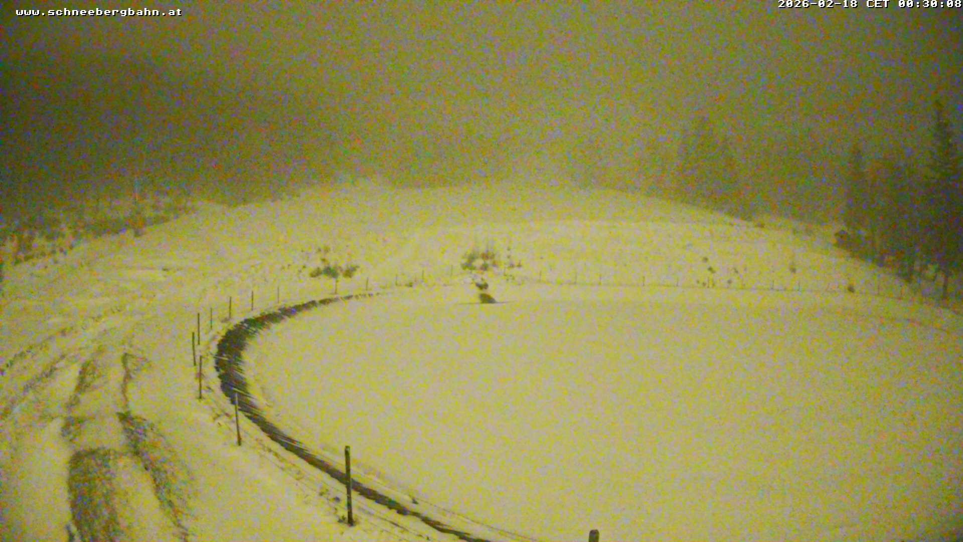 Archiv Foto Webcam Speichersee / Puchberg am Schneeberg