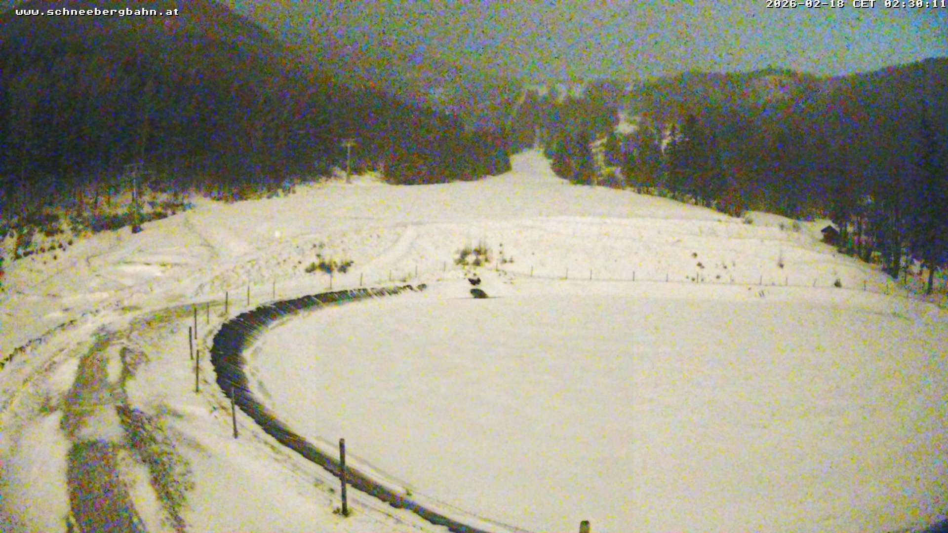 Archiv Foto Webcam Speichersee / Puchberg am Schneeberg