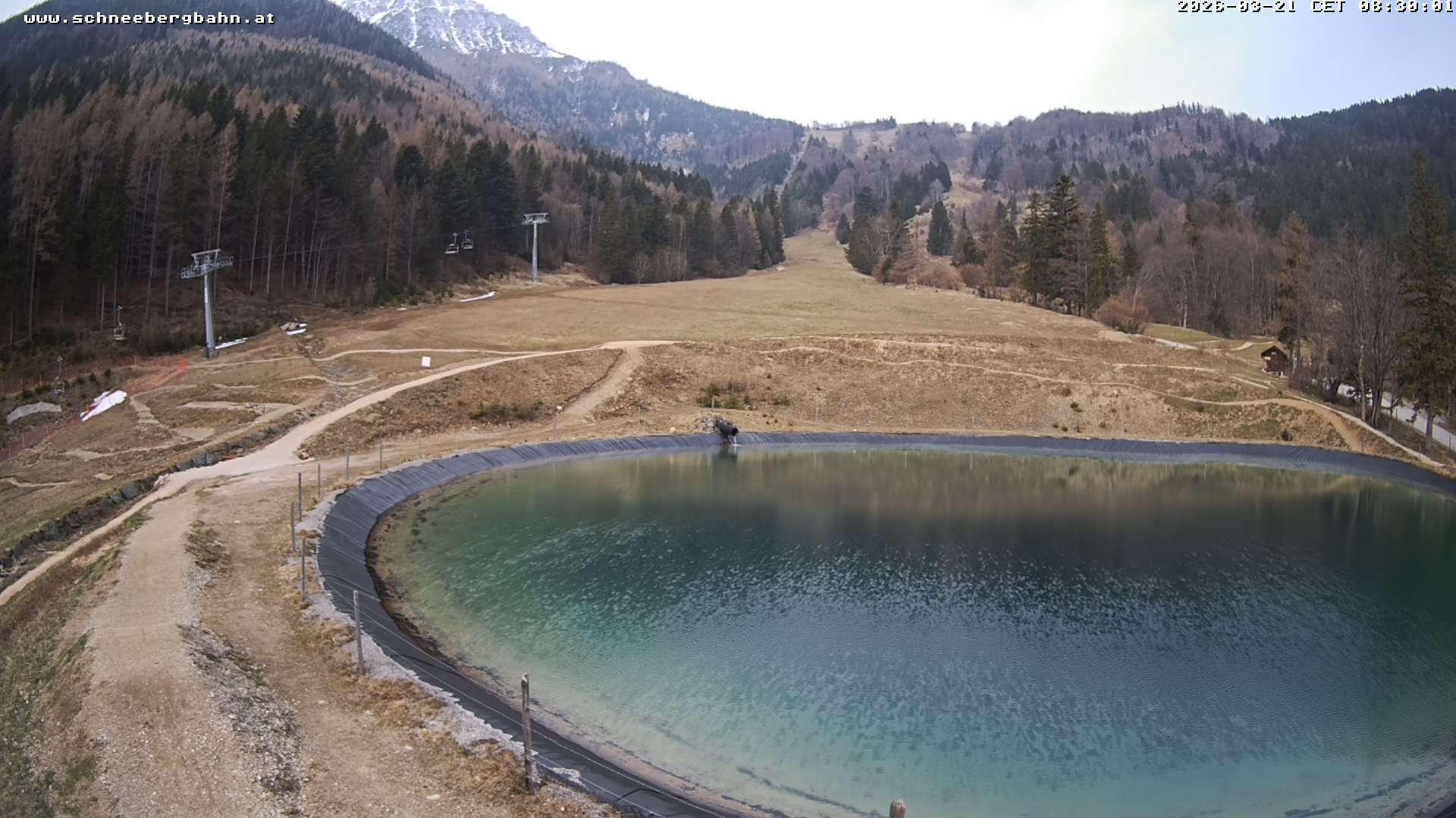 Archiv Foto Webcam Speichersee / Puchberg am Schneeberg