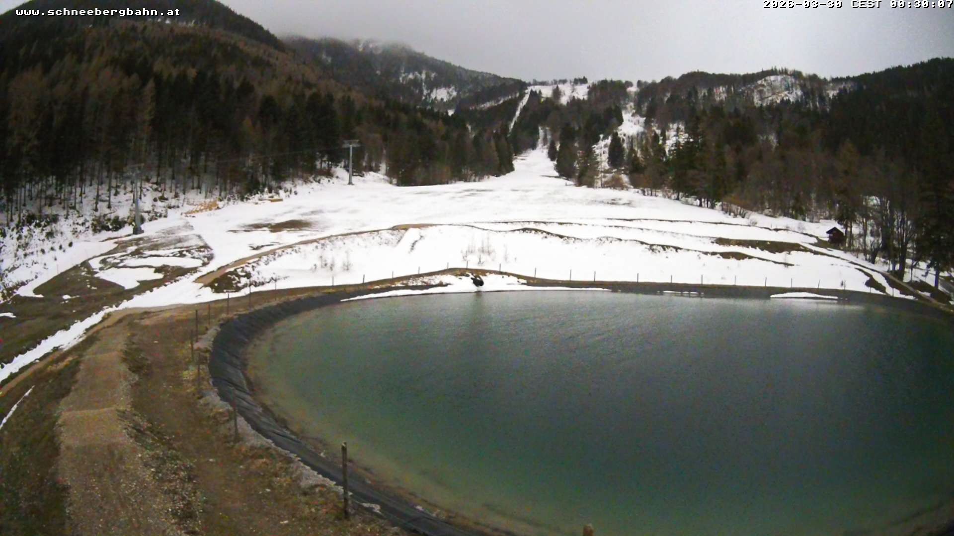 Archiv Foto Webcam Speichersee / Puchberg am Schneeberg