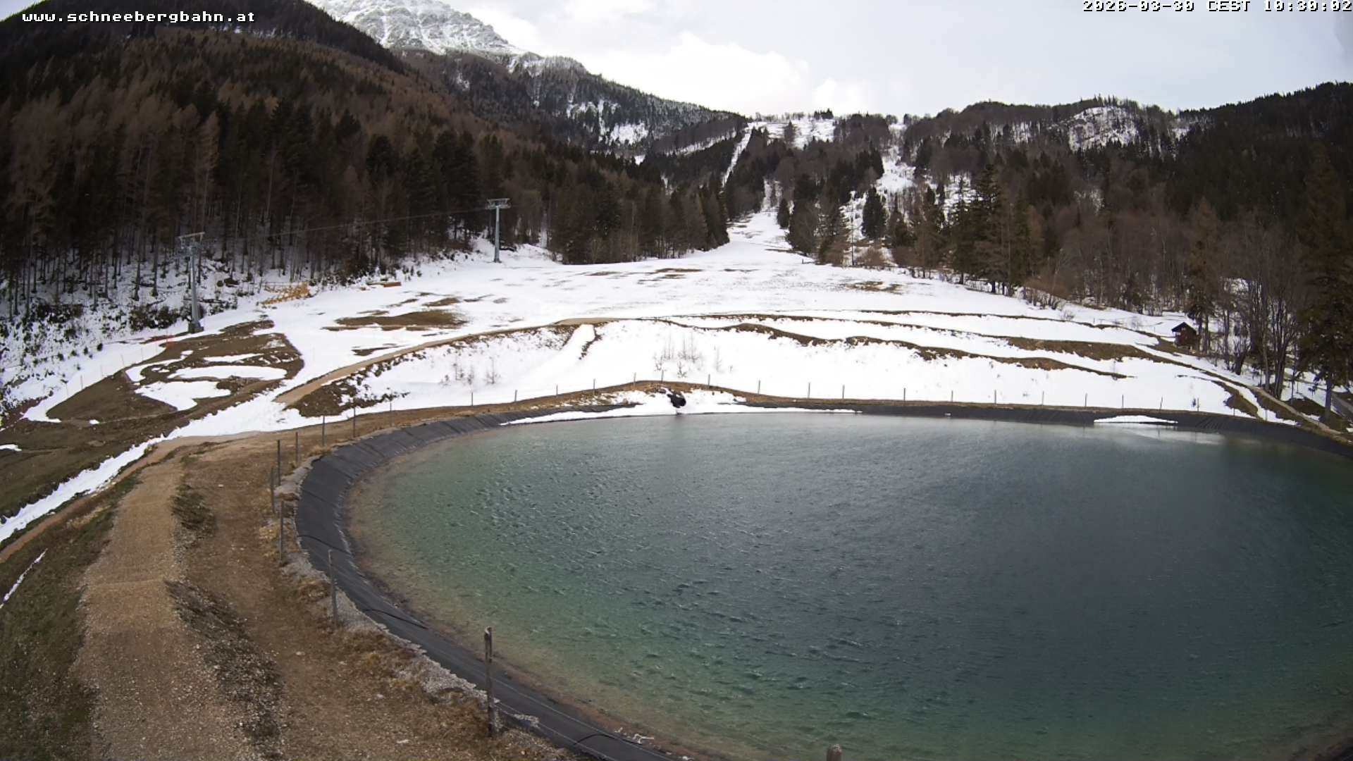 Archiv Foto Webcam Speichersee / Puchberg am Schneeberg