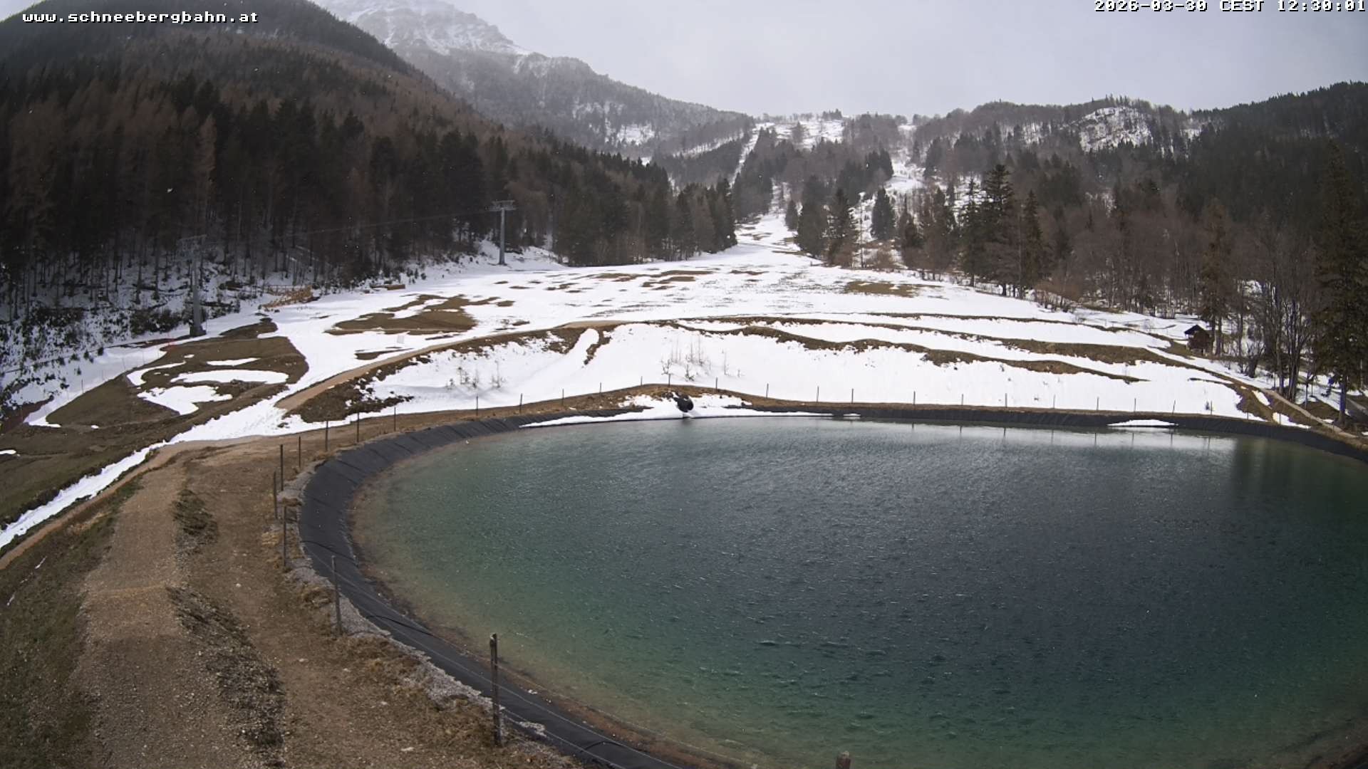 Archiv Foto Webcam Speichersee / Puchberg am Schneeberg