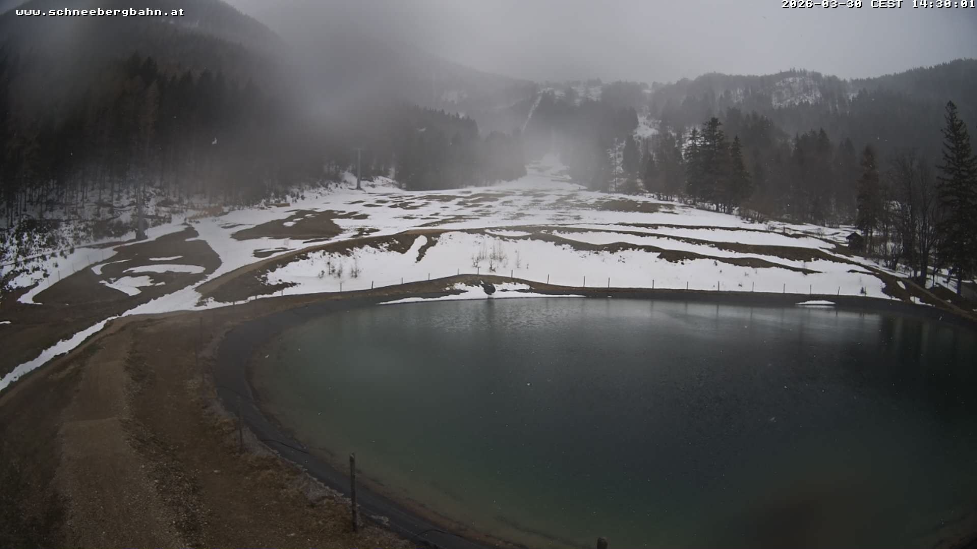 Archiv Foto Webcam Speichersee / Puchberg am Schneeberg
