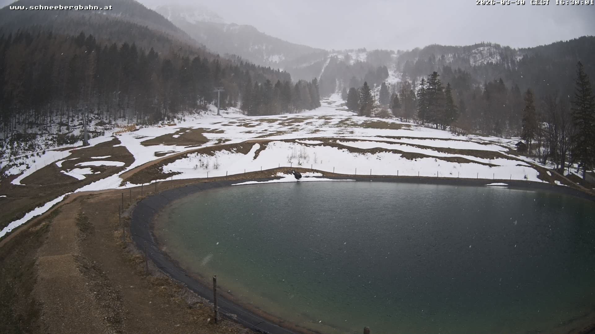Archiv Foto Webcam Speichersee / Puchberg am Schneeberg