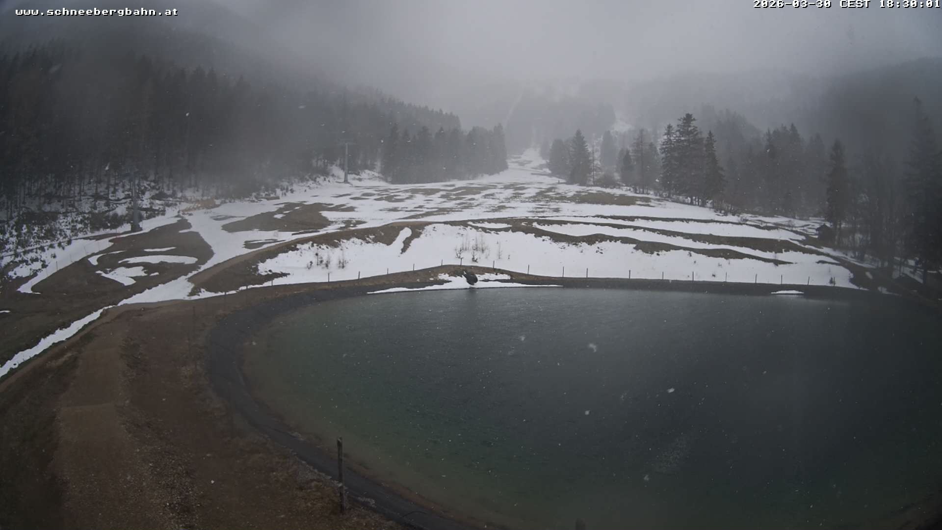 Archiv Foto Webcam Speichersee / Puchberg am Schneeberg