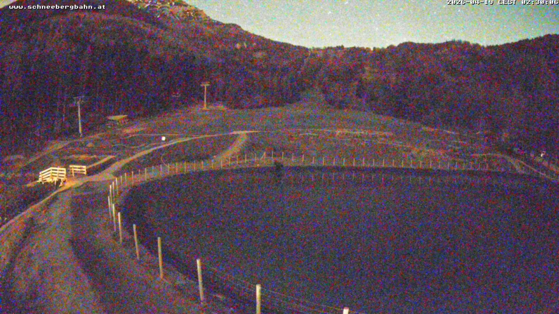 Archiv Foto Webcam Speichersee / Puchberg am Schneeberg