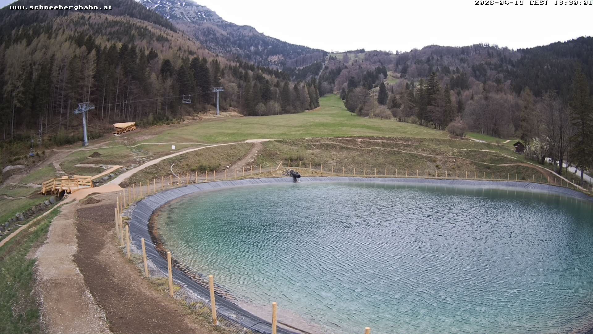 Archiv Foto Webcam Speichersee / Puchberg am Schneeberg