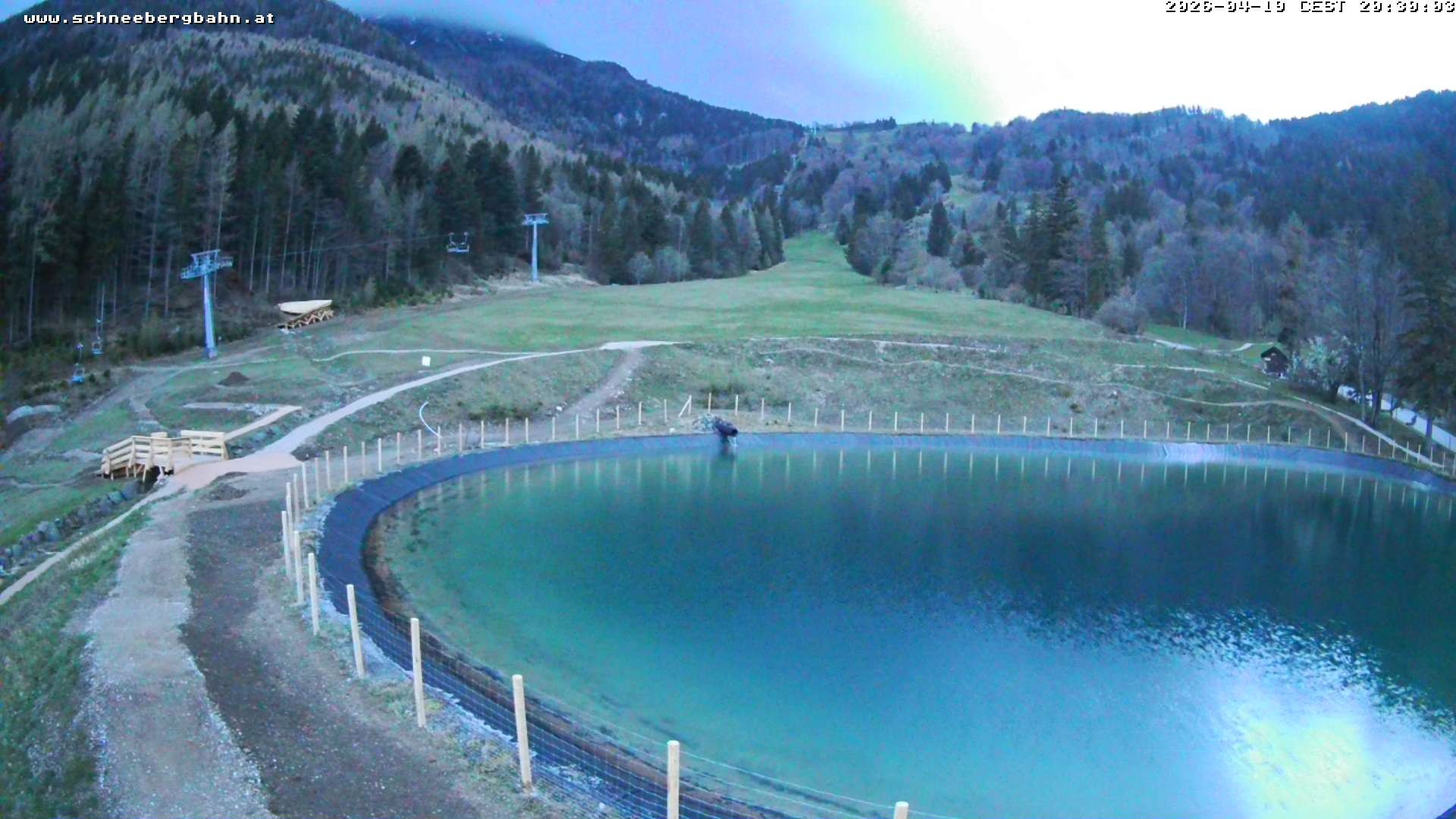 Archiv Foto Webcam Speichersee / Puchberg am Schneeberg