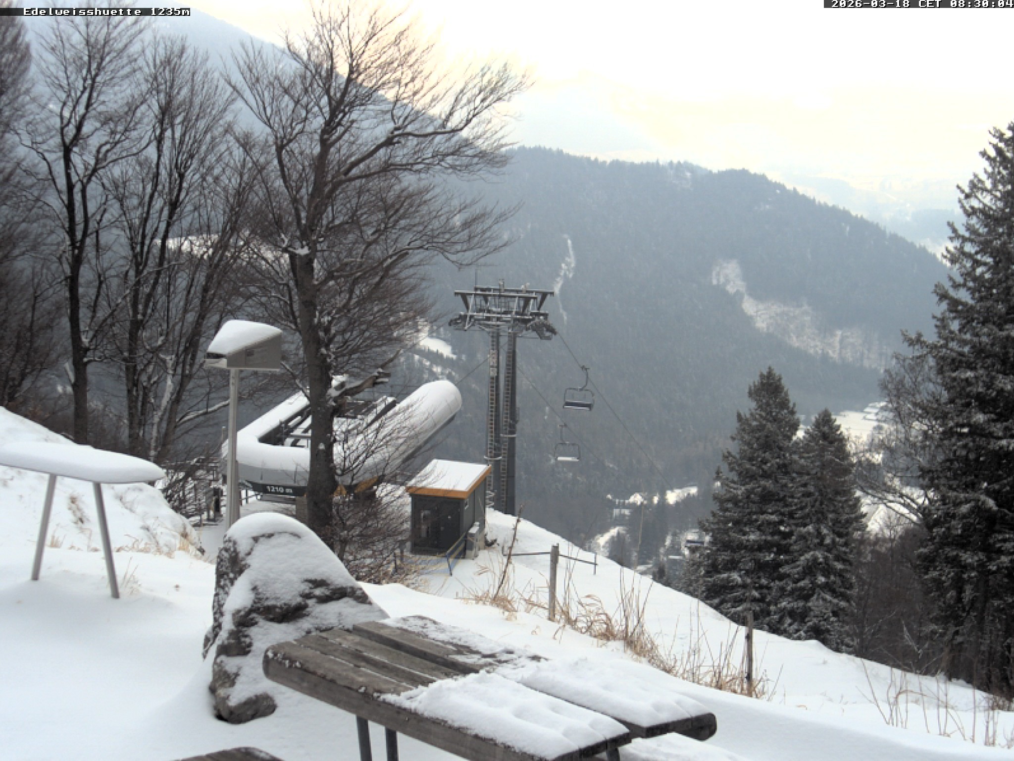 Archiv Foto Webcam Sonnenterrasse Edelweisshütte