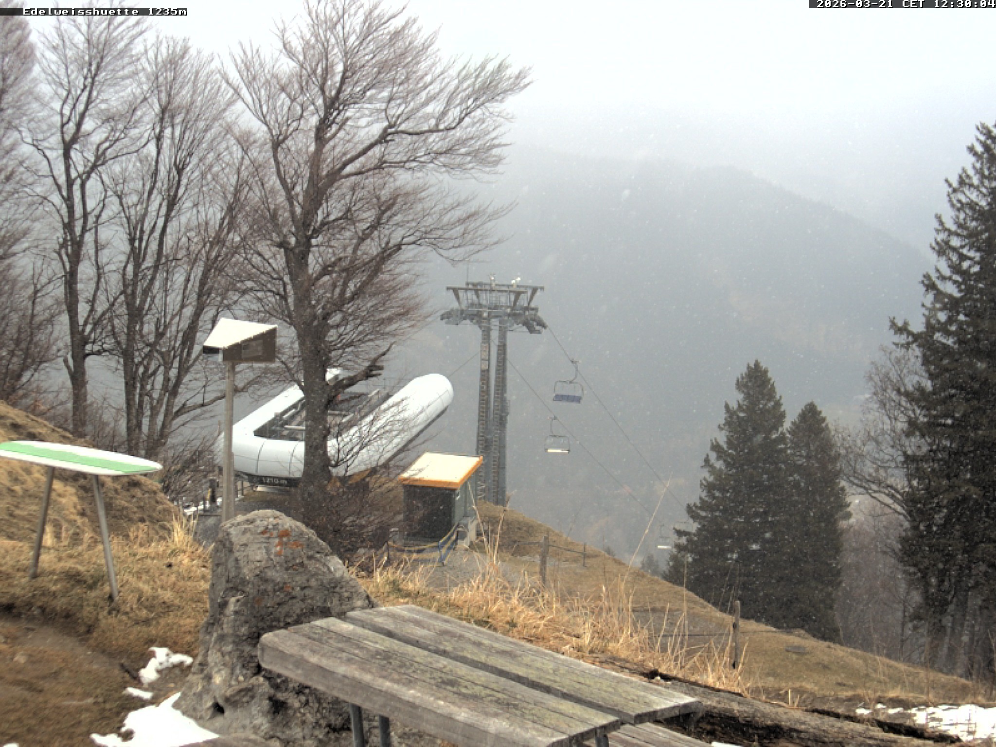 Archiv Foto Webcam Sonnenterrasse Edelweisshütte