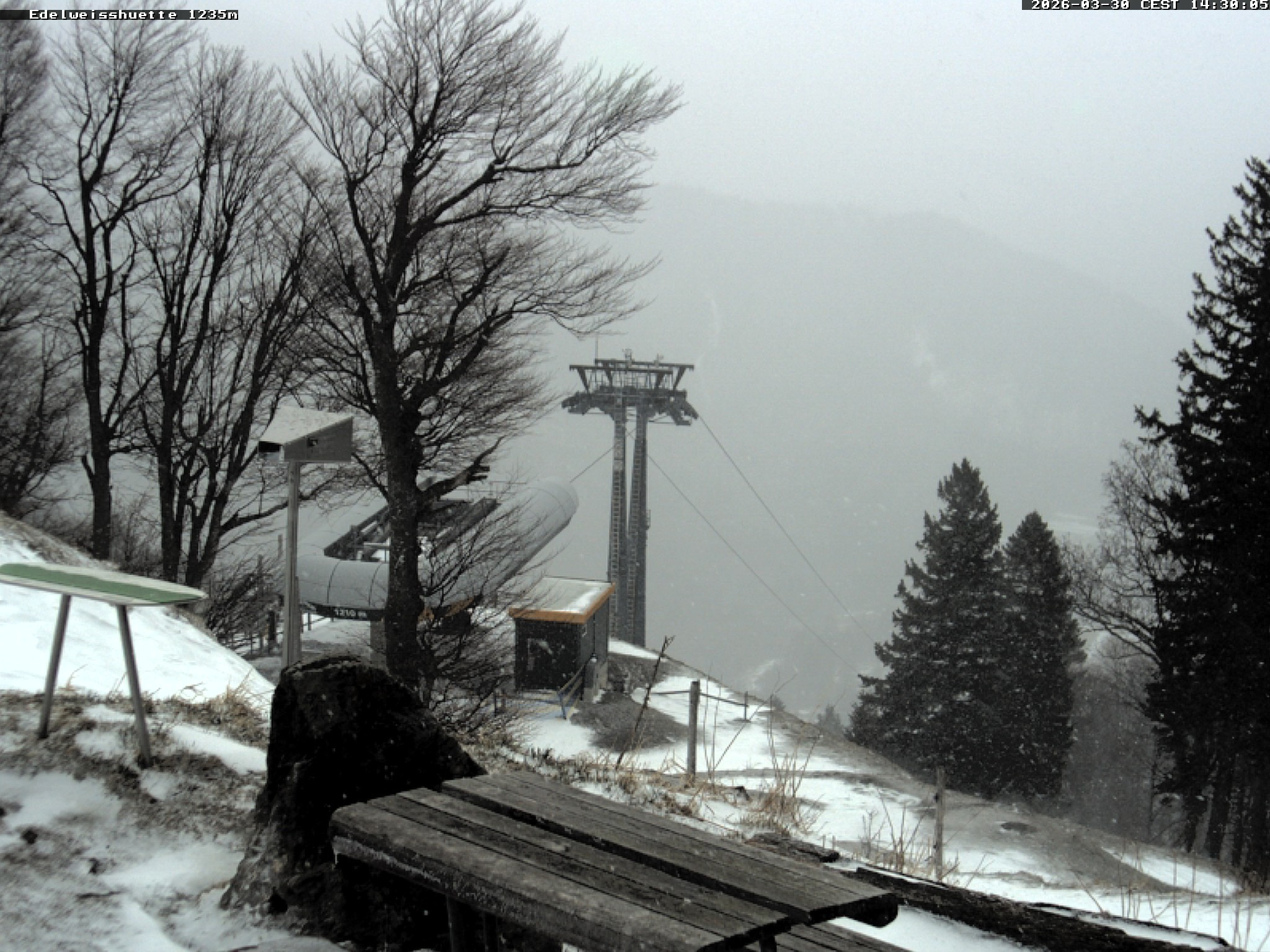 Archiv Foto Webcam Sonnenterrasse Edelweisshütte