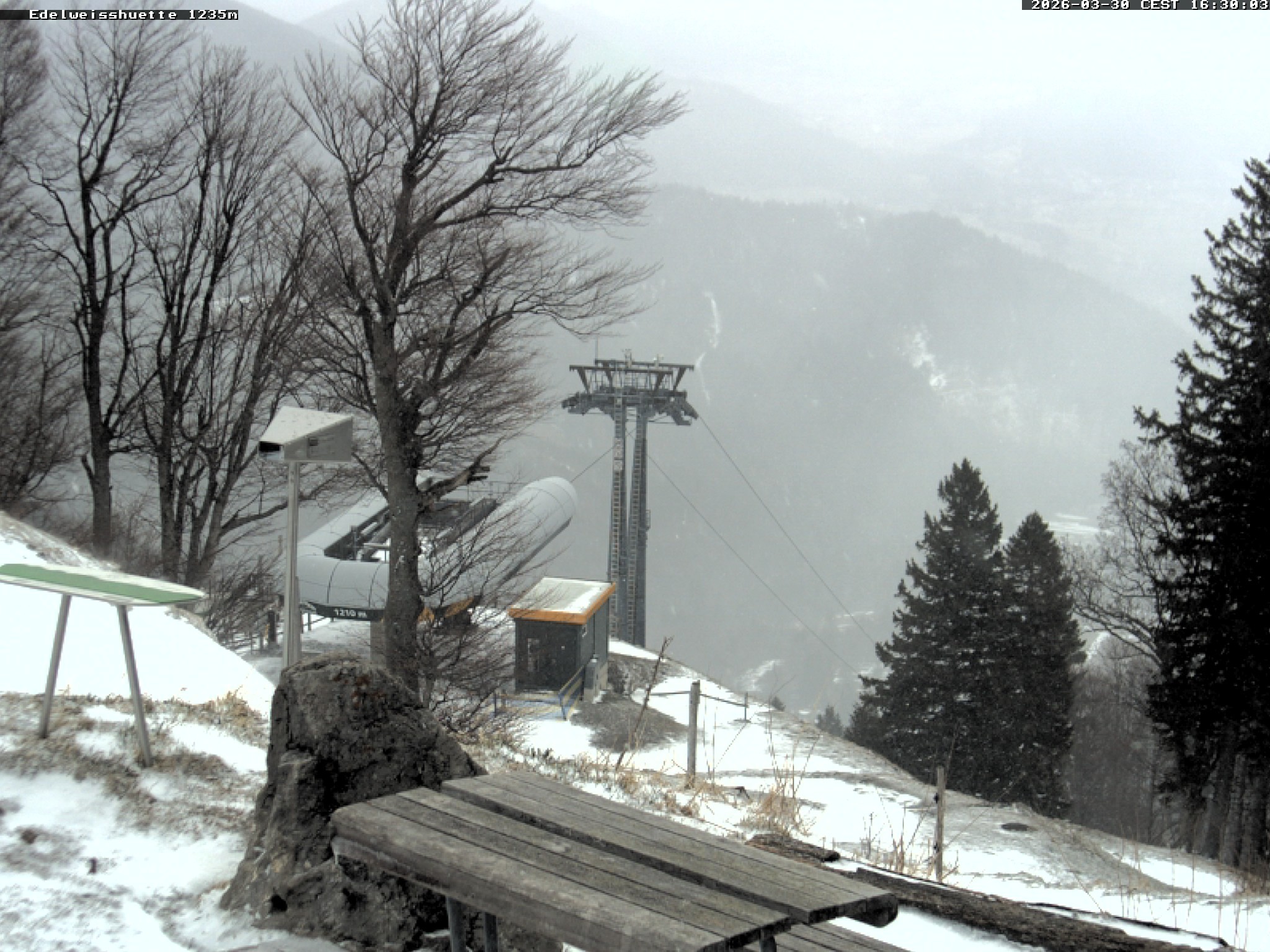 Archiv Foto Webcam Sonnenterrasse Edelweisshütte