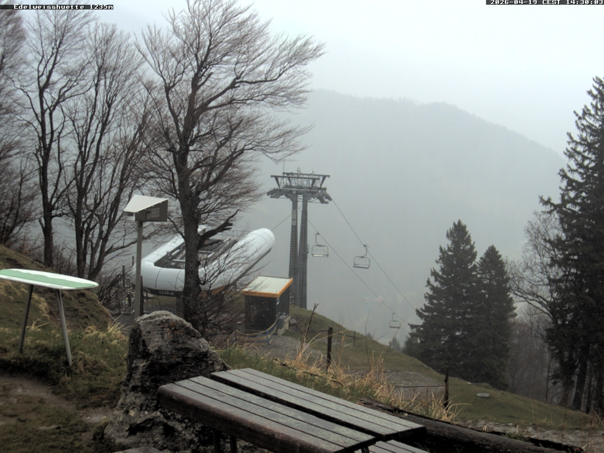 Archiv Foto Webcam Sonnenterrasse Edelweisshütte