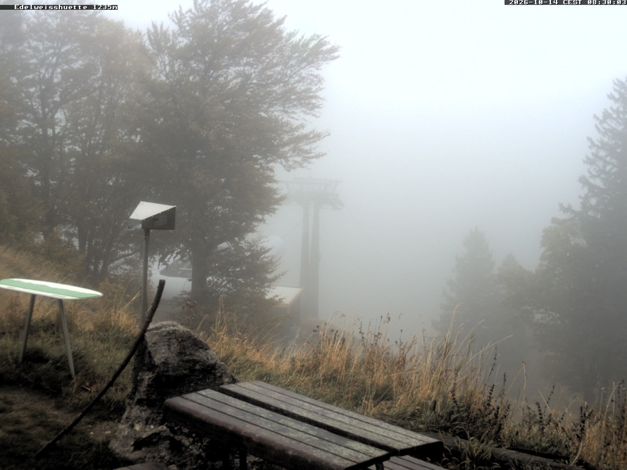 Archiv Foto Webcam Sonnenterrasse Edelweisshütte