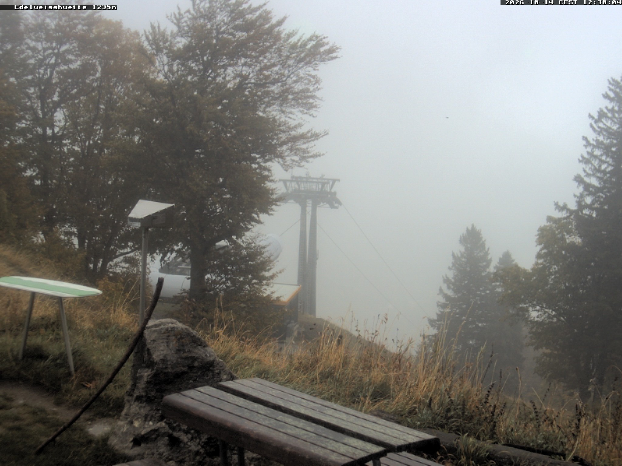 Archiv Foto Webcam Sonnenterrasse Edelweisshütte