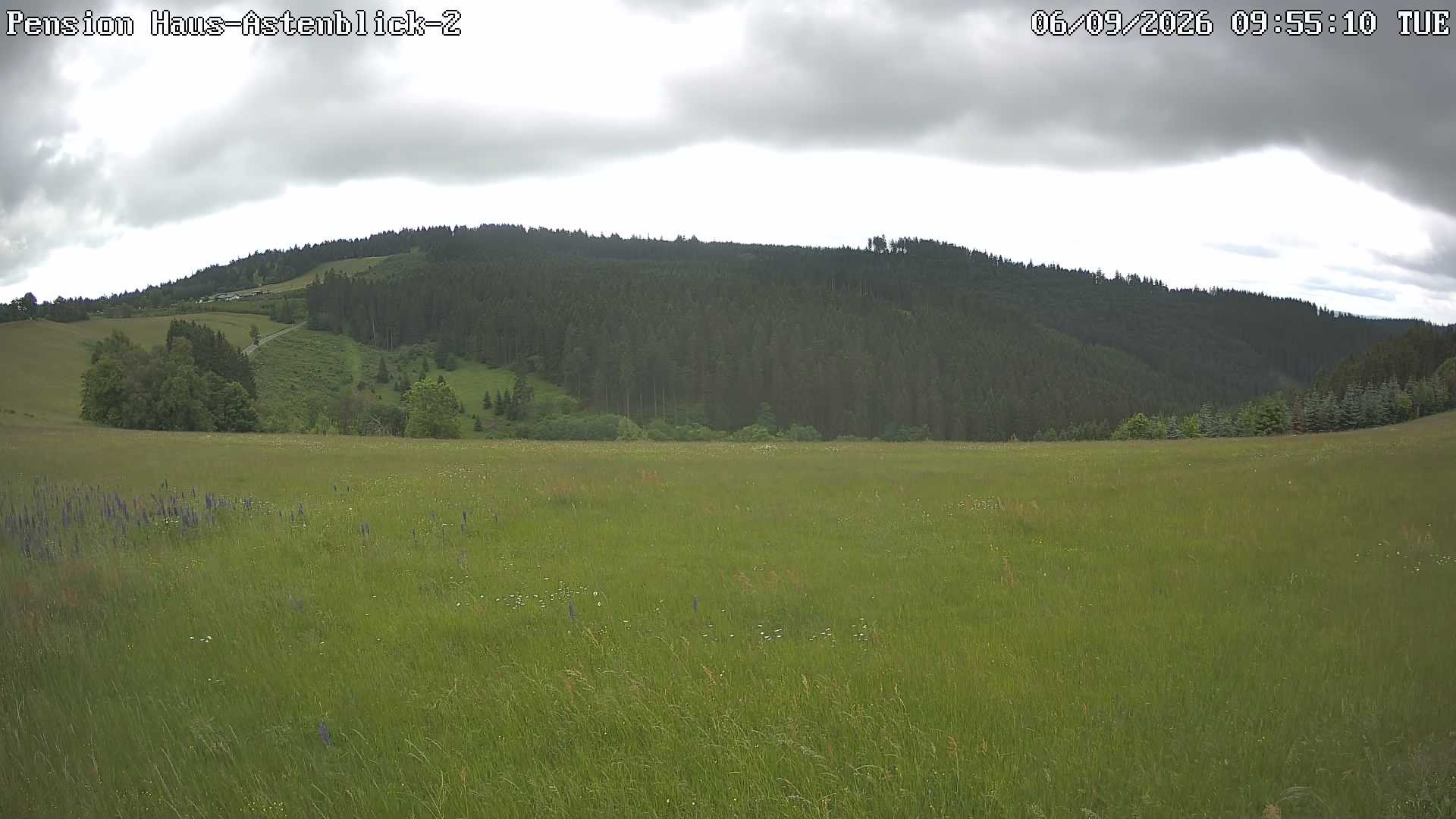 Archiv Foto Webcam Haus Astenblick