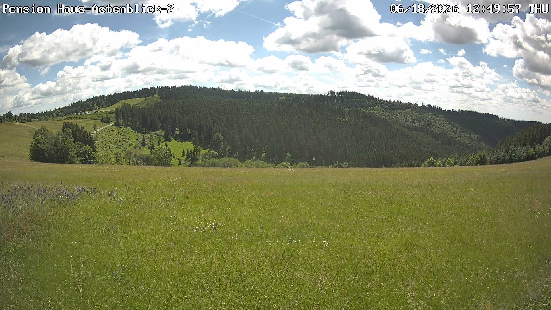 Archiv Foto Webcam Haus Astenblick