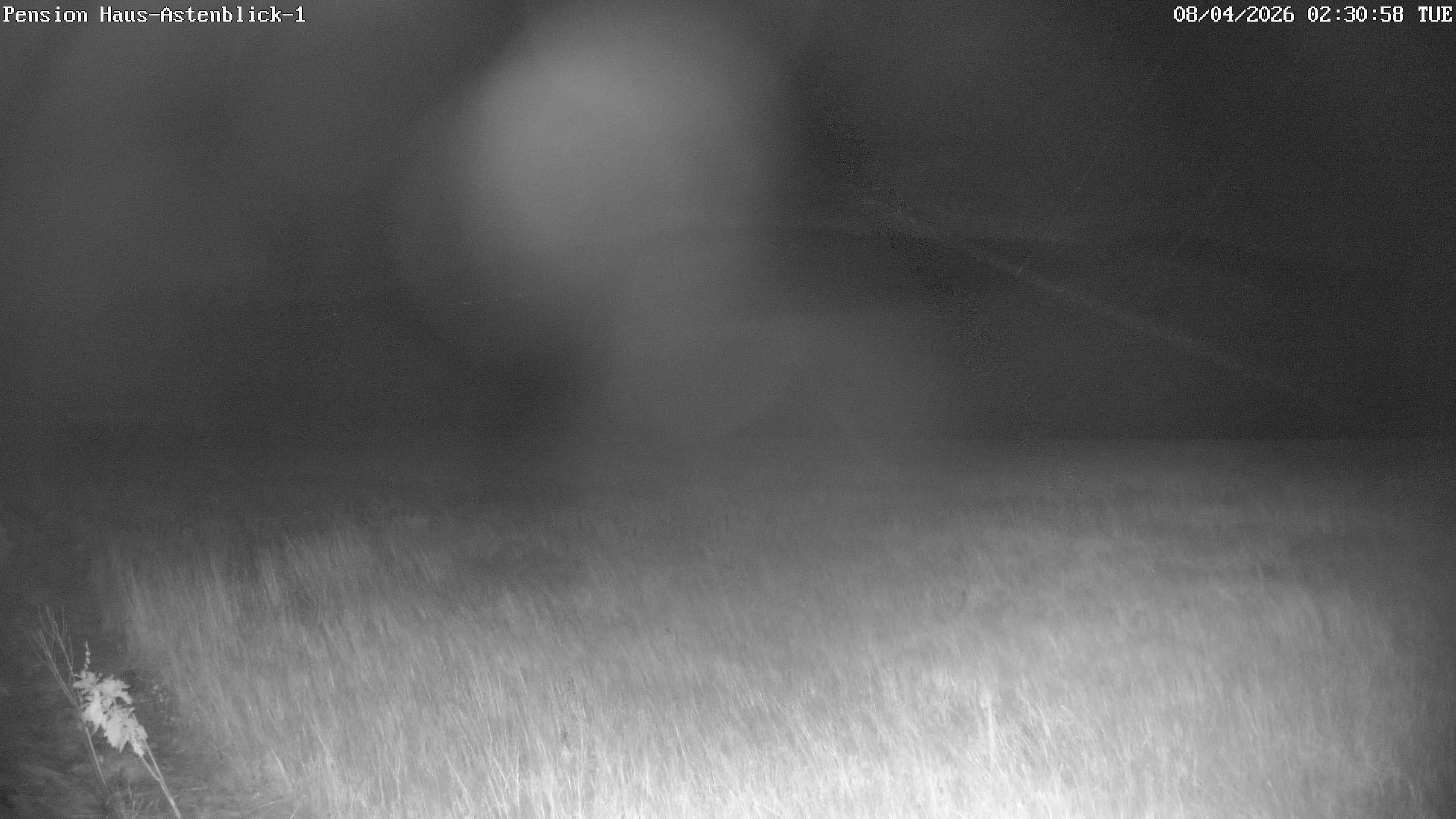 Archiv Foto Webcam Haus Astenblick