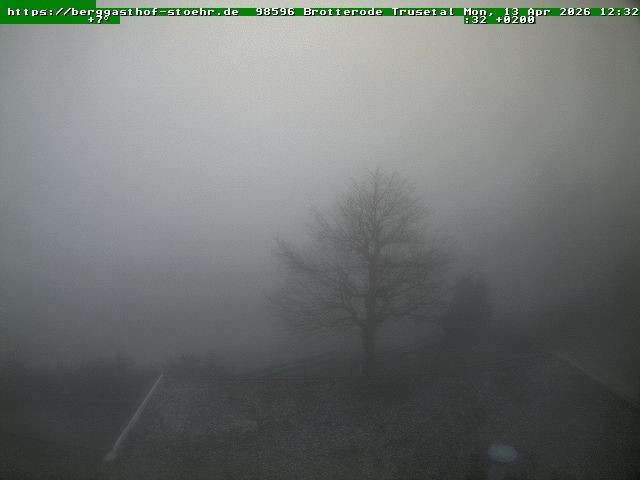 Archived image Webcam Brotterode (Thuringian Forest)