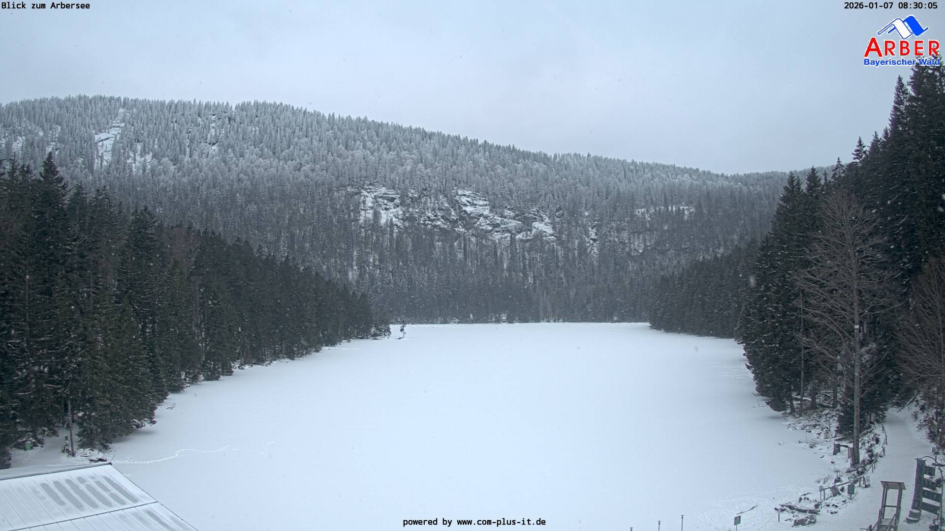 Archiv Foto Webcam Großer Arbersee - Bayerischer Wald