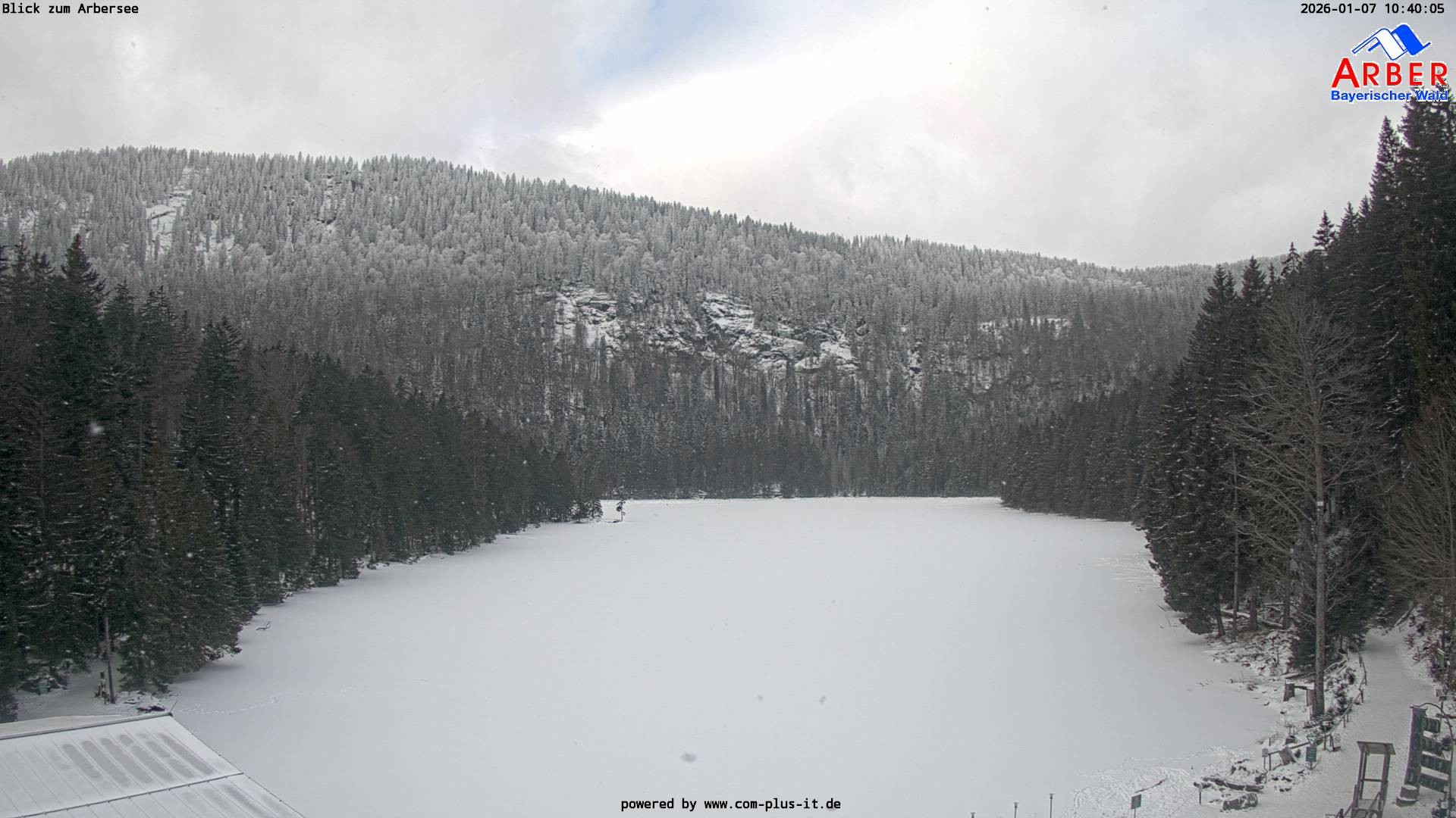 Archiv Foto Webcam Großer Arbersee - Bayerischer Wald