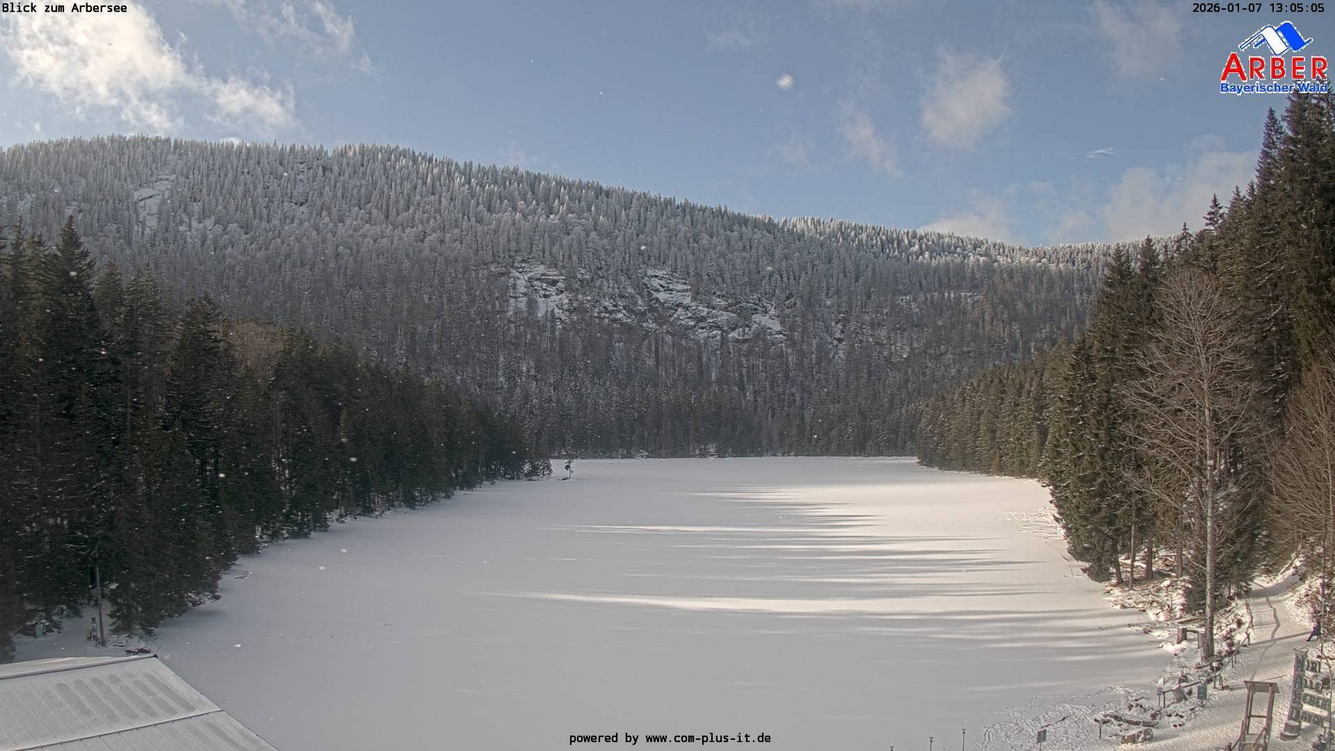 Archiv Foto Webcam Großer Arbersee - Bayerischer Wald
