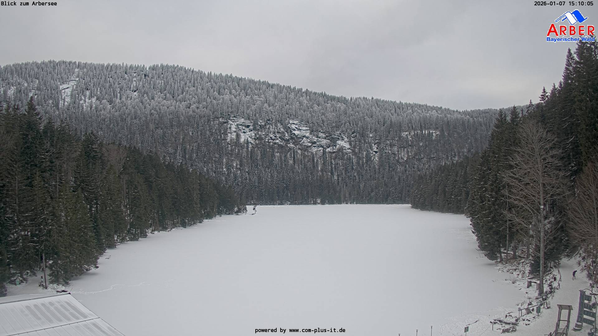 Archiv Foto Webcam Großer Arbersee - Bayerischer Wald