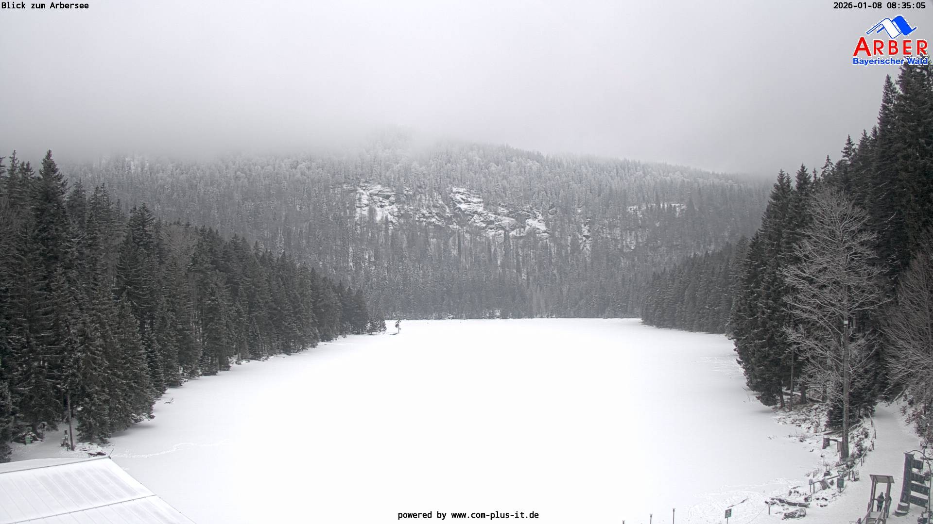 Archiv Foto Webcam Großer Arbersee - Bayerischer Wald
