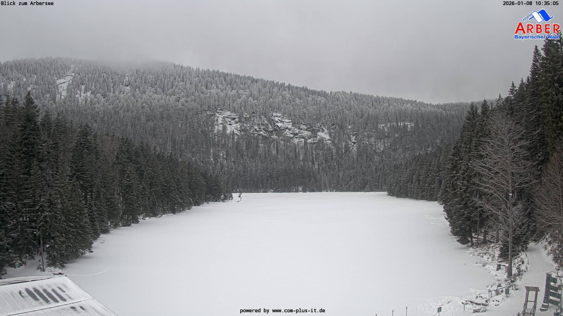 Archiv Foto Webcam Großer Arbersee - Bayerischer Wald