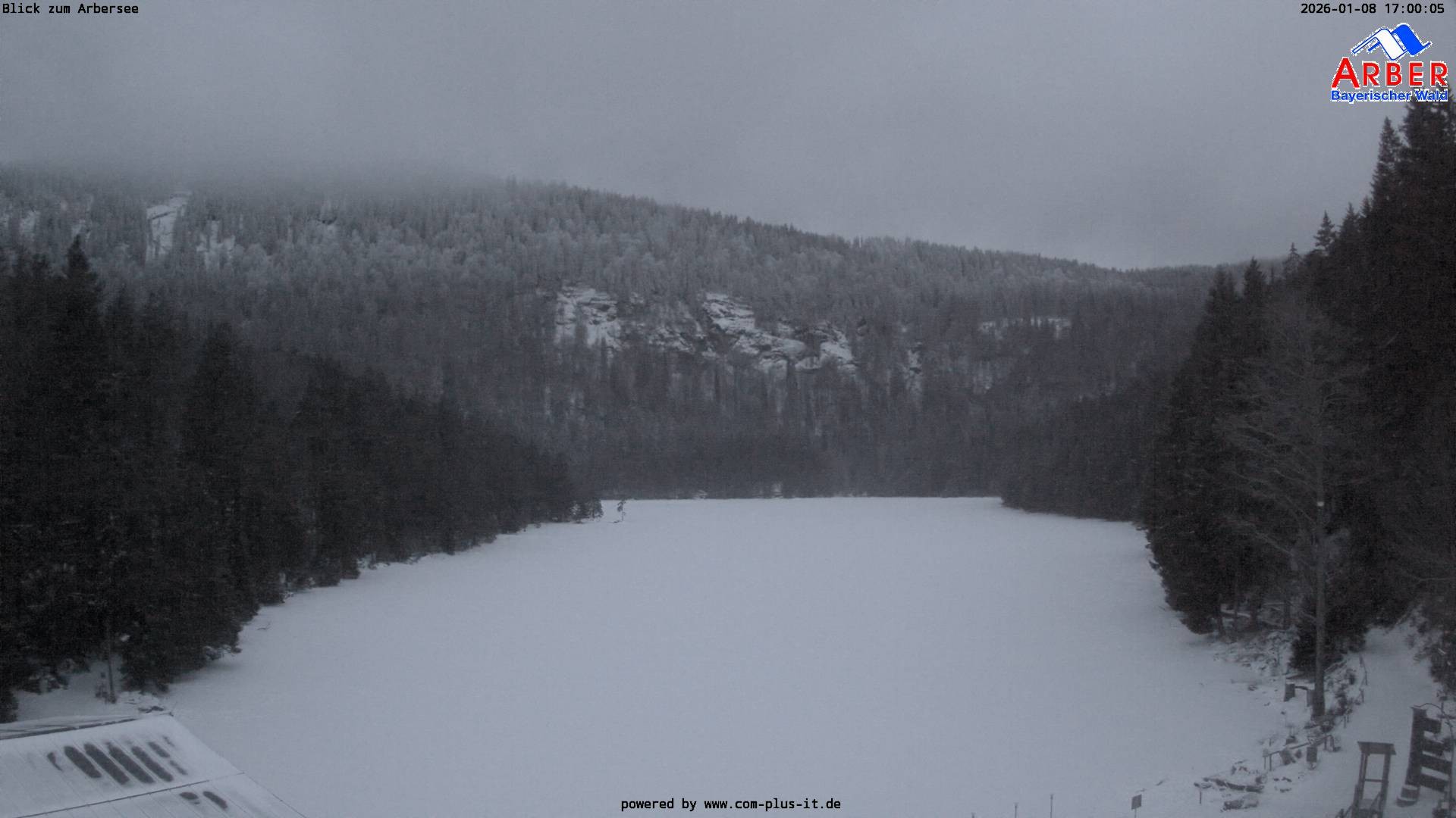 Archiv Foto Webcam Großer Arbersee - Bayerischer Wald