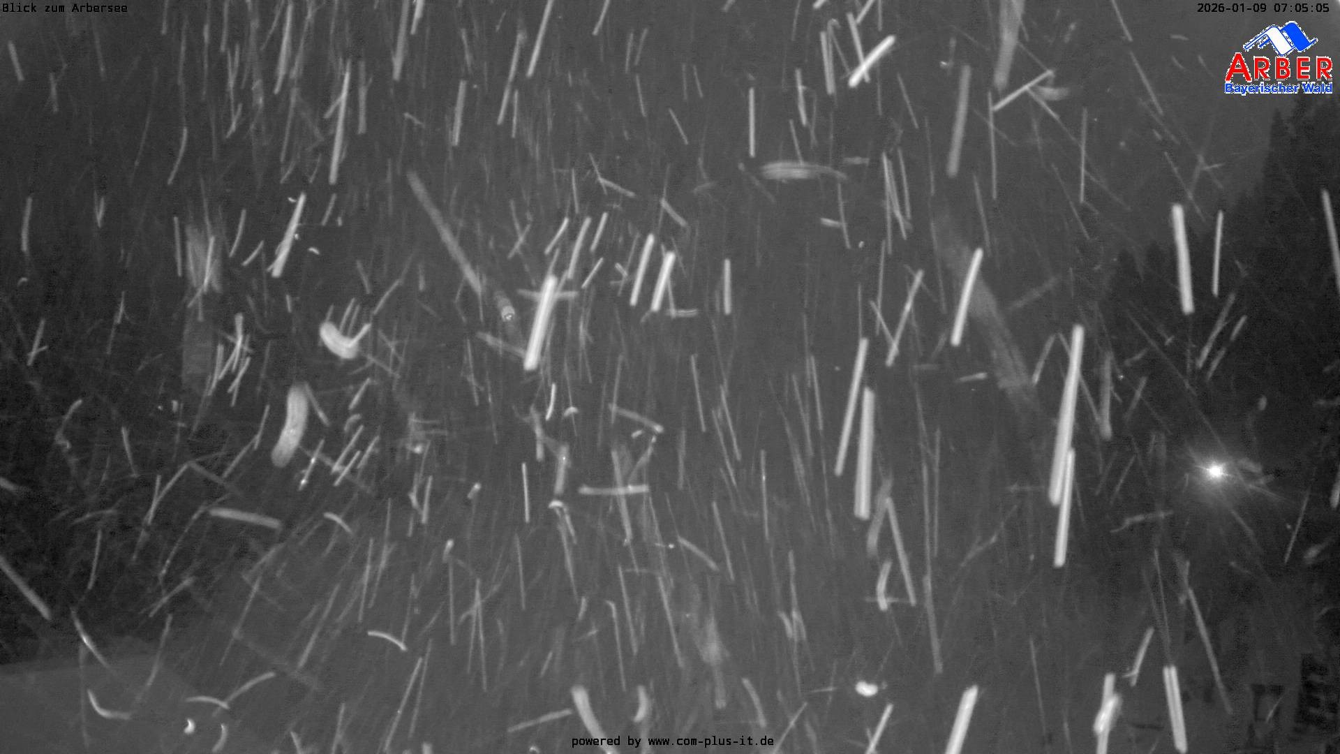 Archiv Foto Webcam Großer Arbersee - Bayerischer Wald