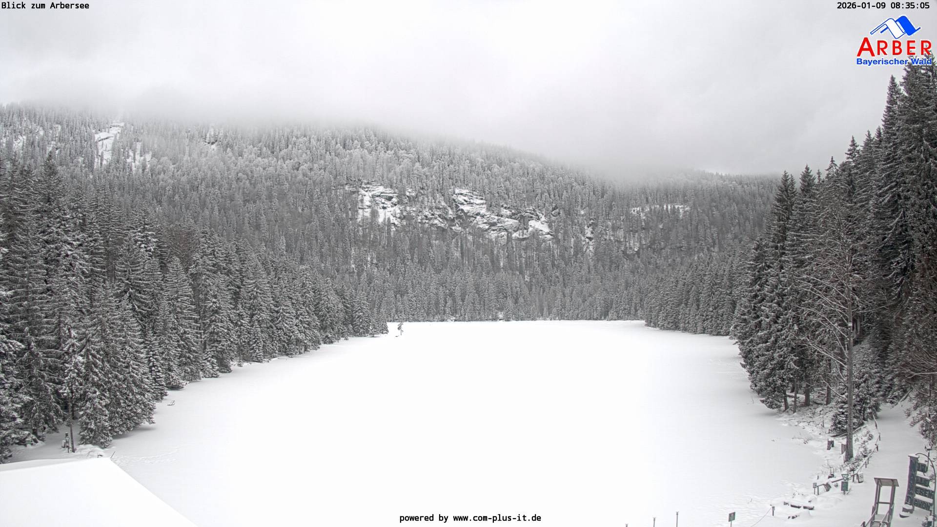Archiv Foto Webcam Großer Arbersee - Bayerischer Wald