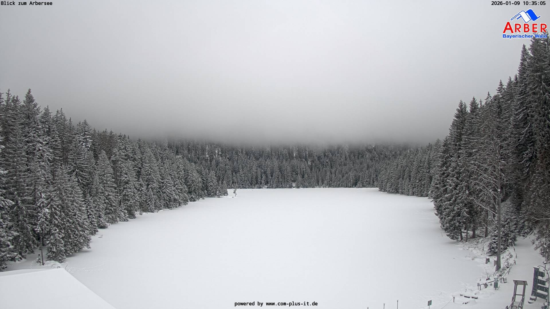 Archiv Foto Webcam Großer Arbersee - Bayerischer Wald