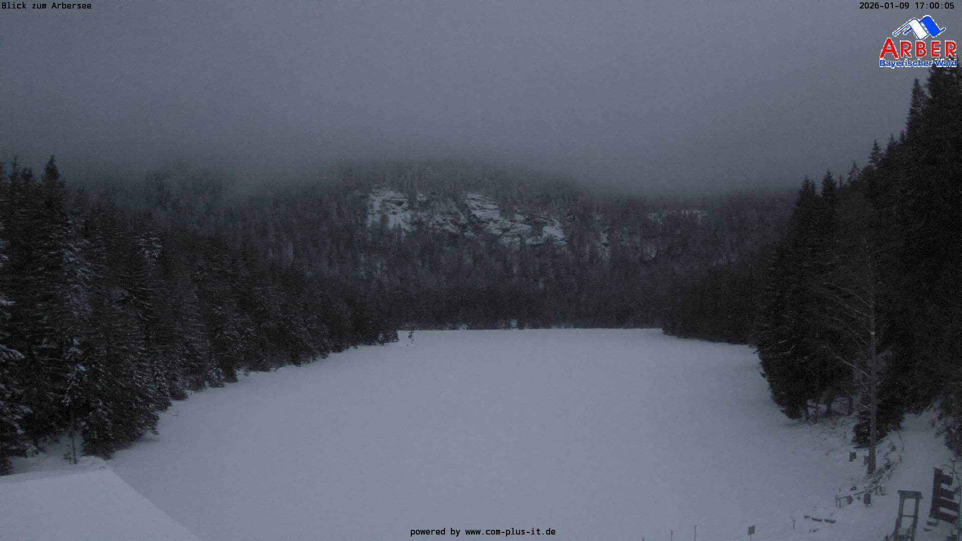 Archived image Webcam Lake "Großer Arbersee" (Bavarian Forest)