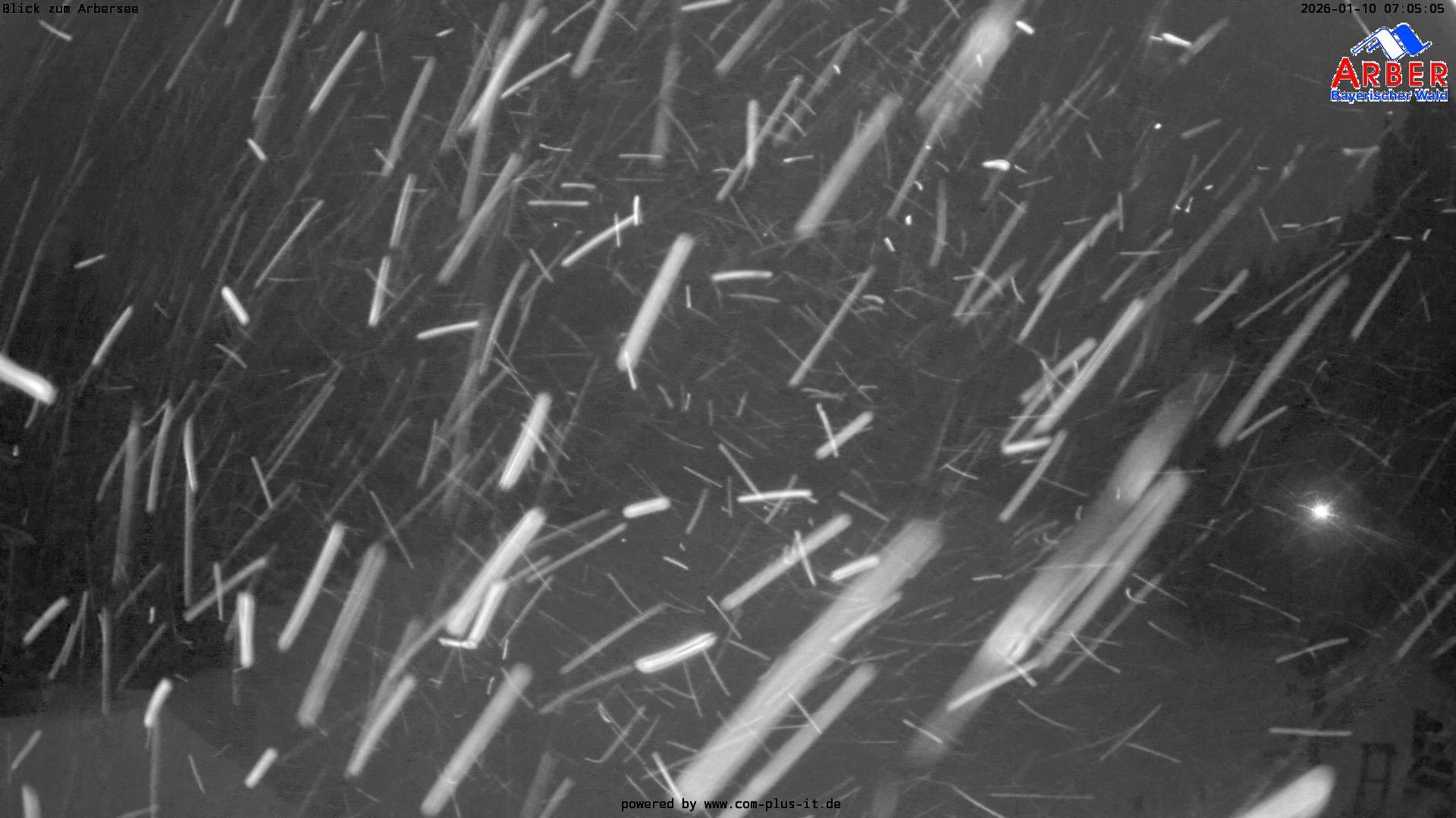Archiv Foto Webcam Großer Arbersee - Bayerischer Wald