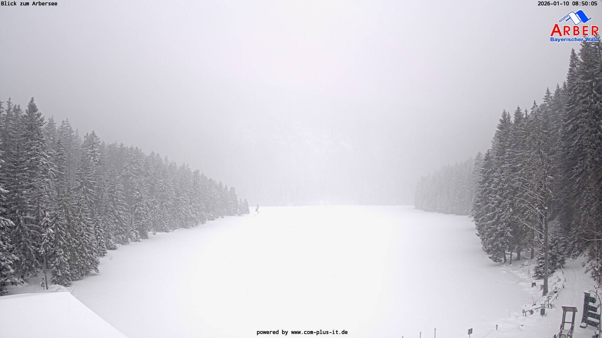 Archiv Foto Webcam Großer Arbersee - Bayerischer Wald