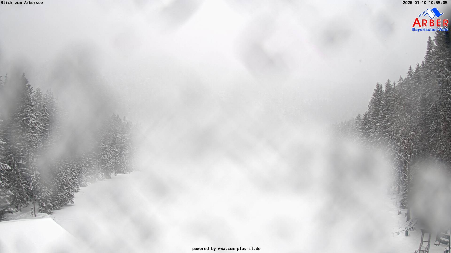 Archiv Foto Webcam Großer Arbersee - Bayerischer Wald