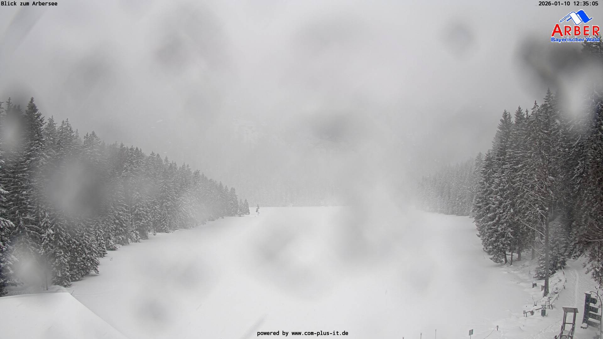 Archiv Foto Webcam Großer Arbersee - Bayerischer Wald