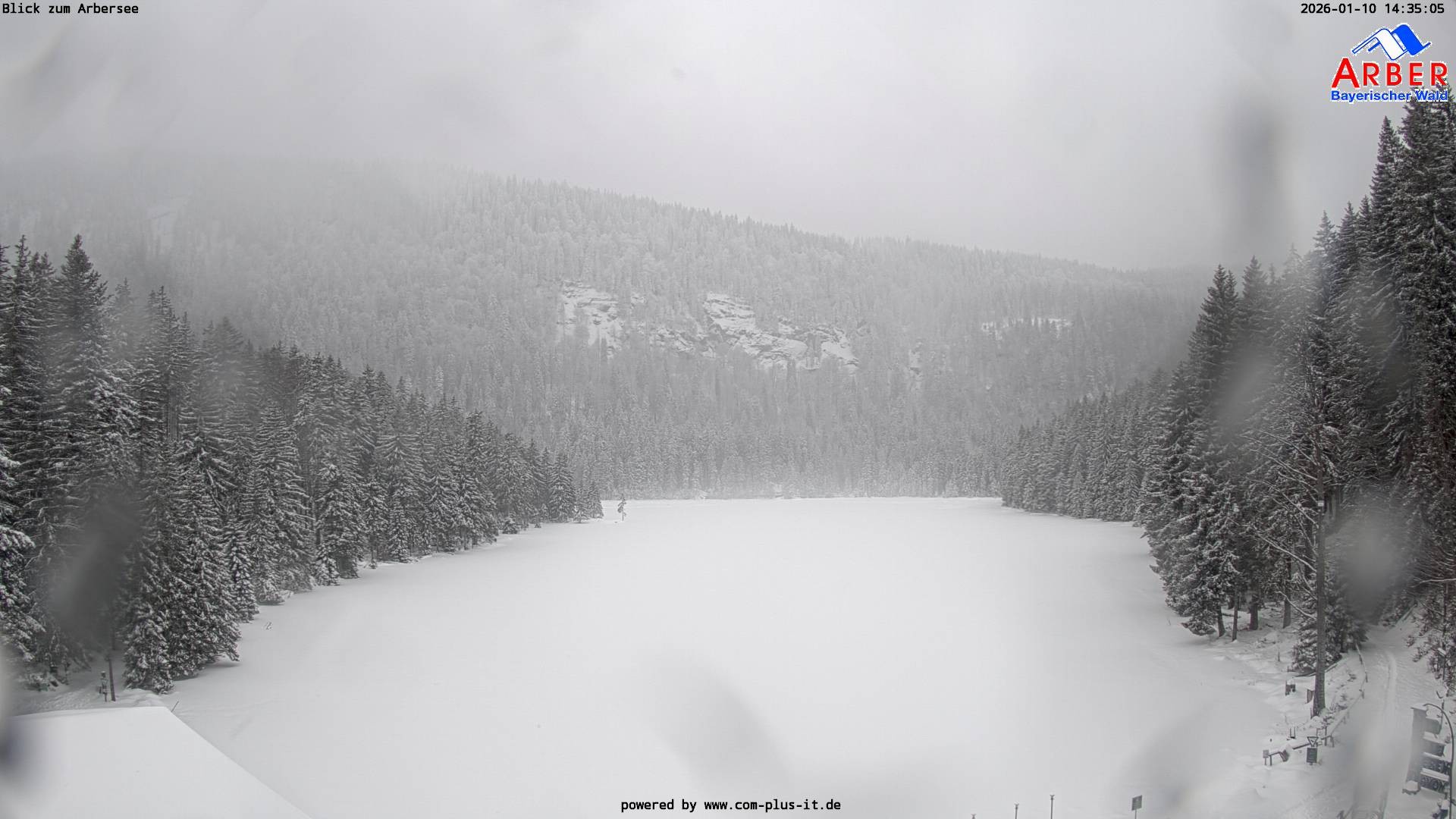 Archiv Foto Webcam Großer Arbersee - Bayerischer Wald