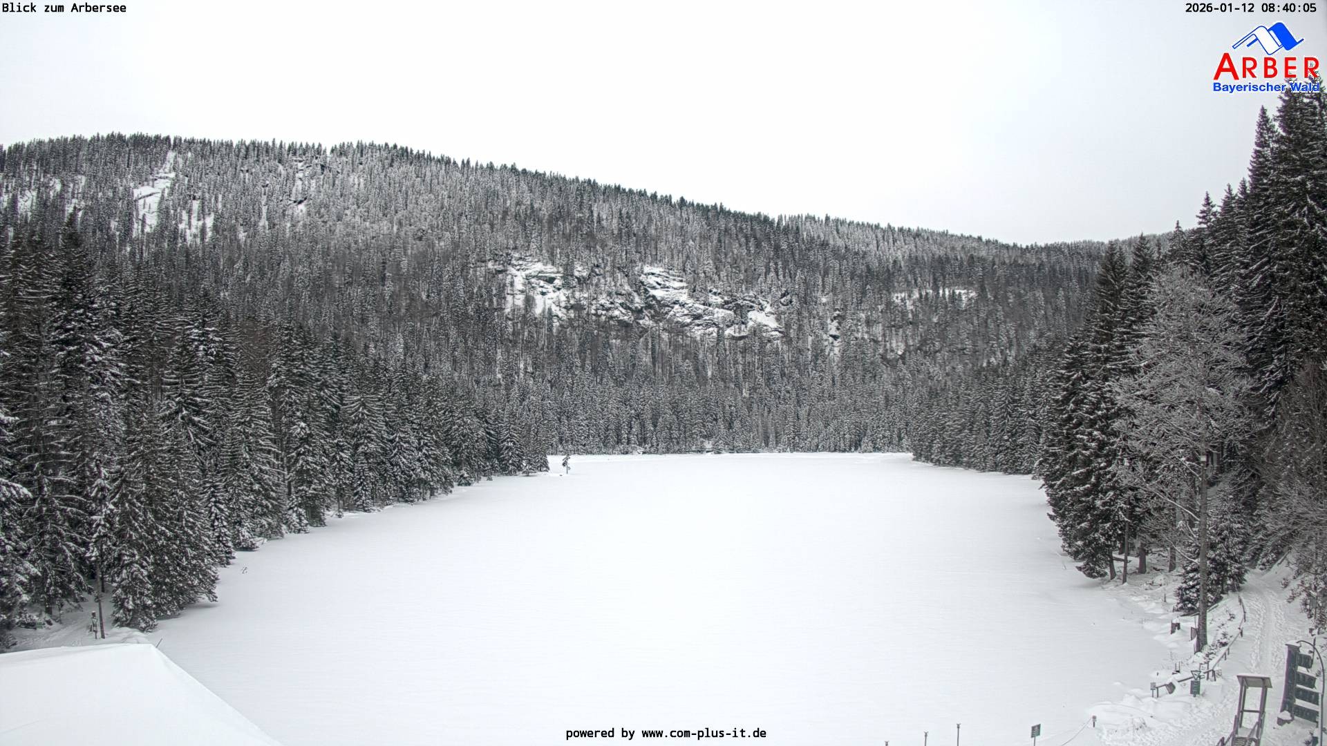Archiv Foto Webcam Großer Arbersee - Bayerischer Wald