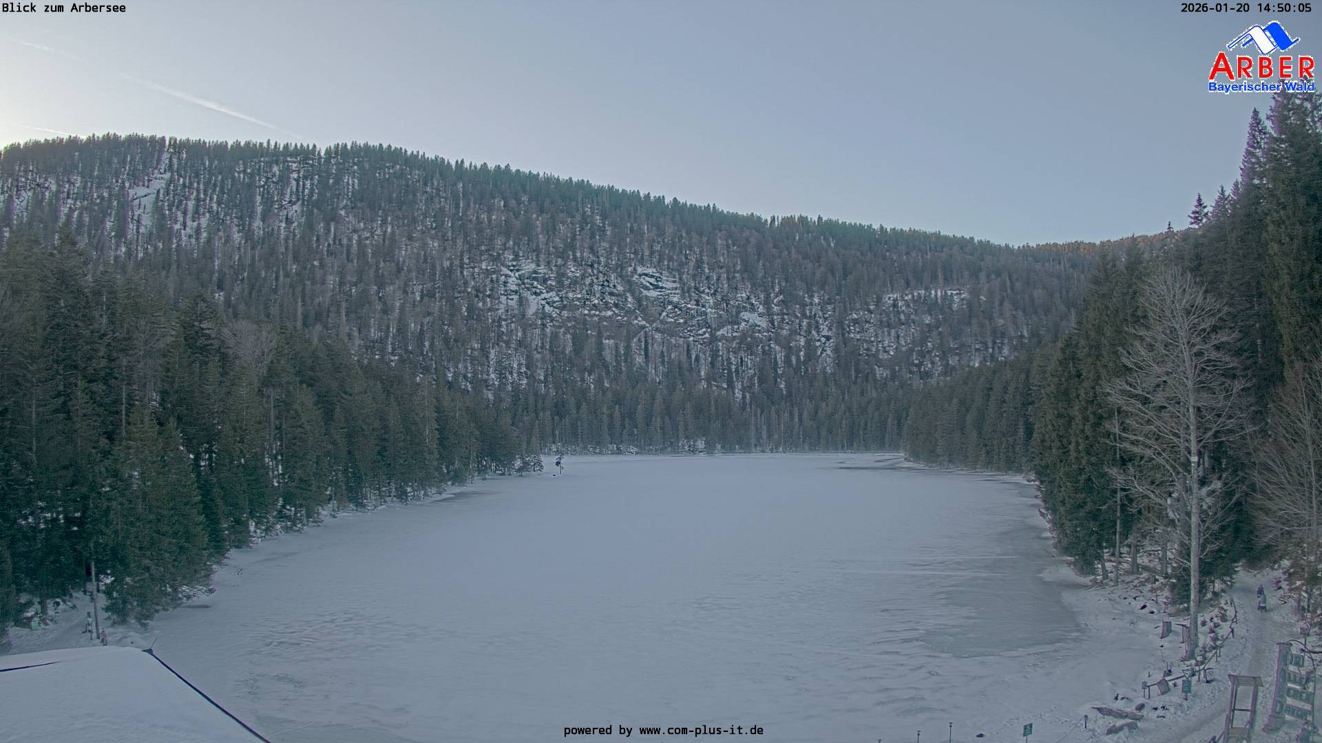 Archiv Foto Webcam Großer Arbersee - Bayerischer Wald