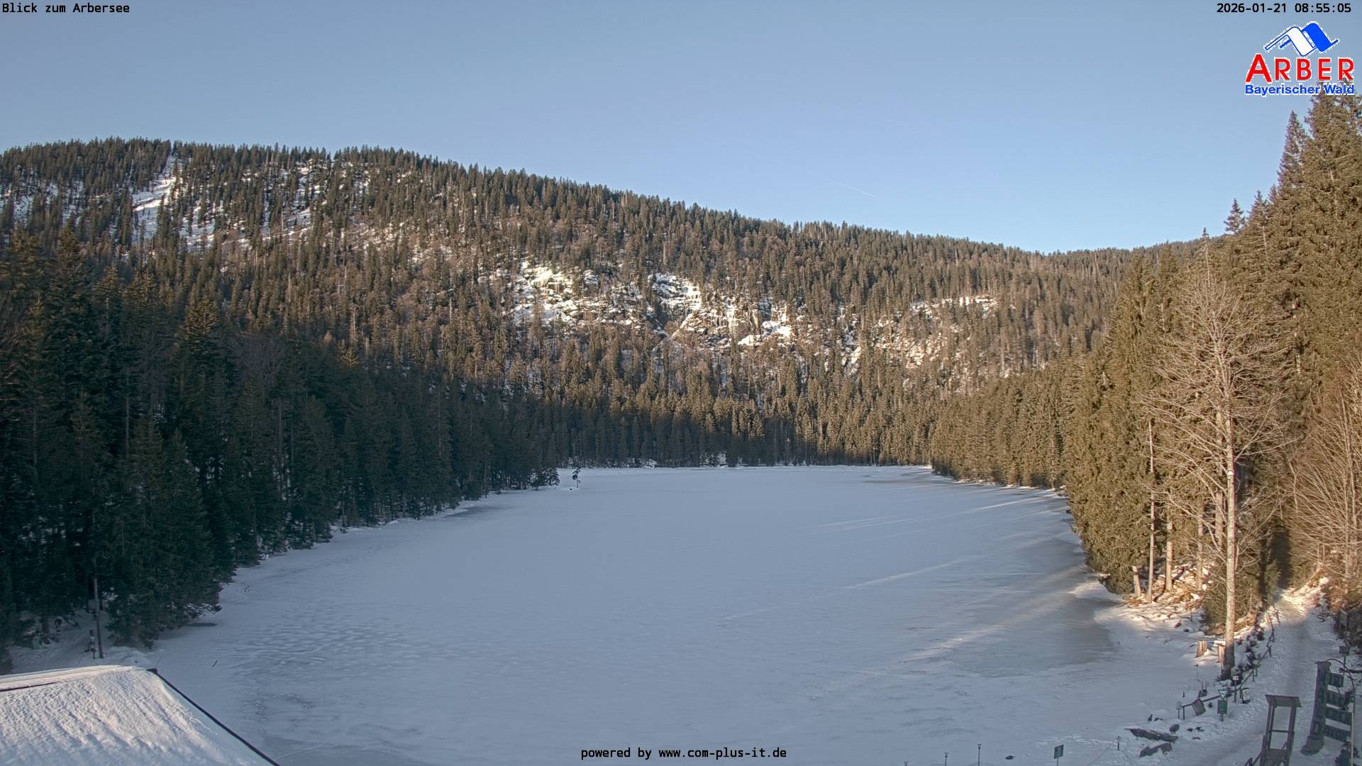 Archiv Foto Webcam Großer Arbersee - Bayerischer Wald