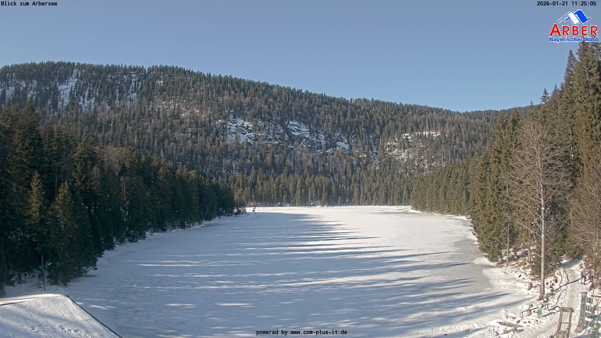 Archiv Foto Webcam Großer Arbersee - Bayerischer Wald